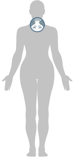 頚椎（くび）