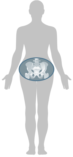 腰椎