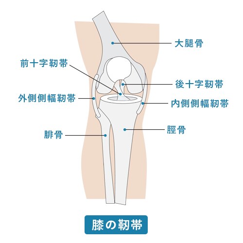 膝靱帯損傷