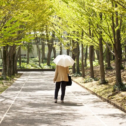 膝の痛みのほとんどがこの病気？変形性膝関節症とは
