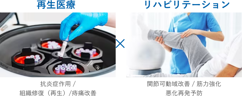 再生医療×リハビリテーション