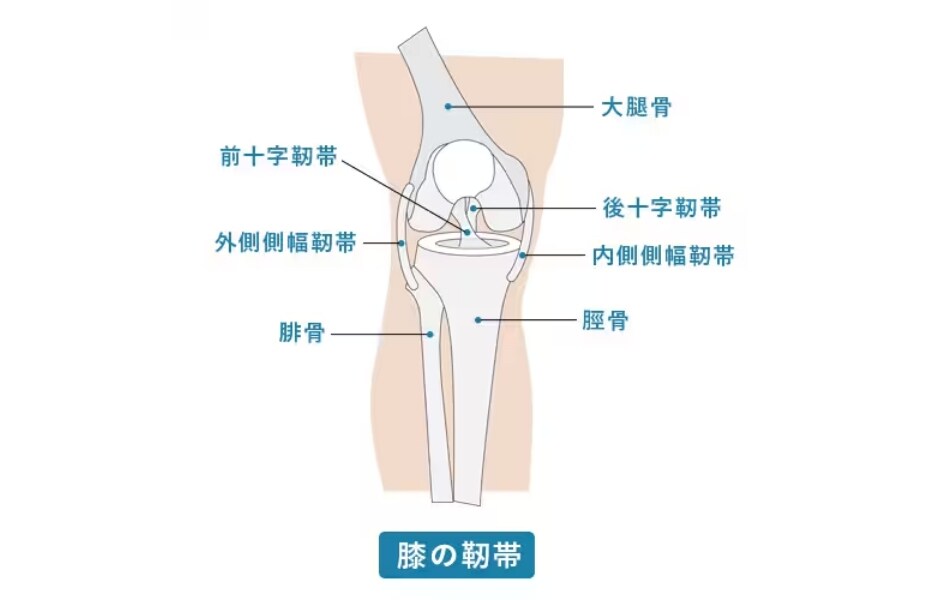 靭帯損傷