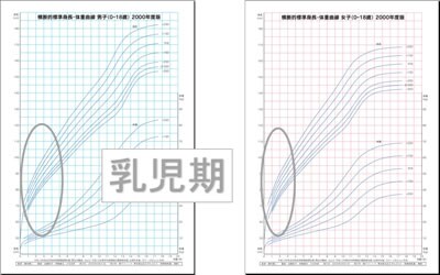 乳児期