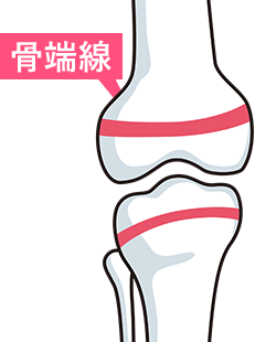 子供の骨